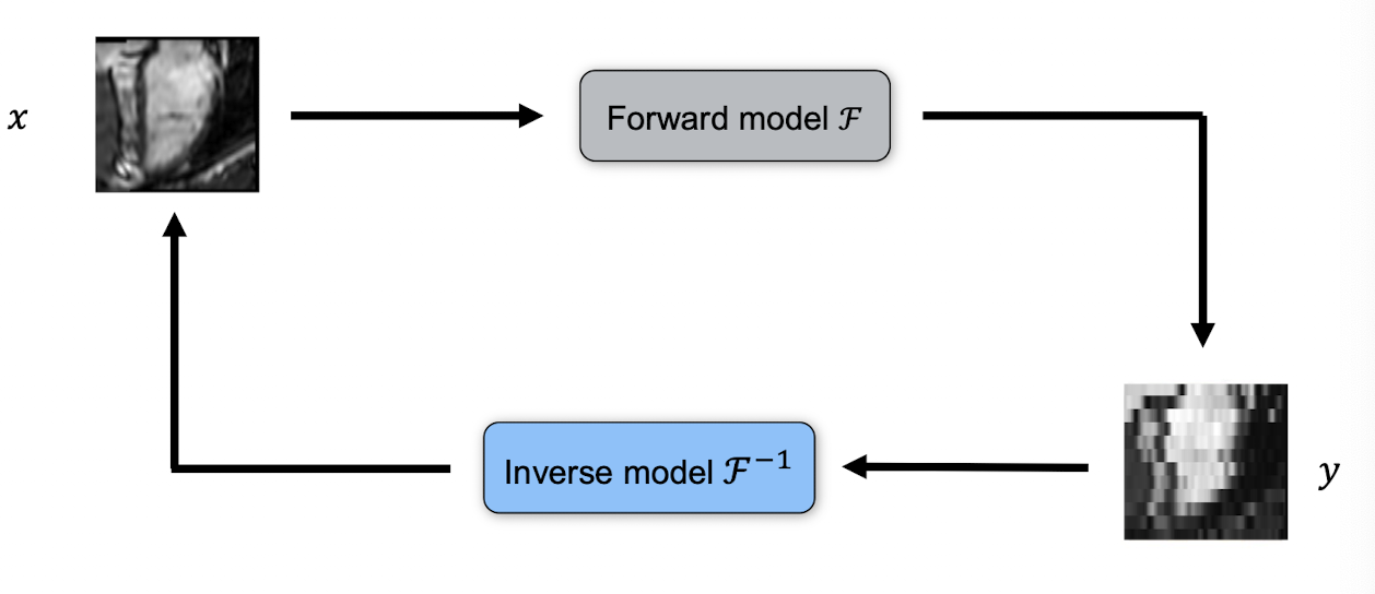Forward Inverse Model